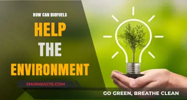 Biofuels: A Sustainable Solution for Reducing Carbon Emissions and Pollution