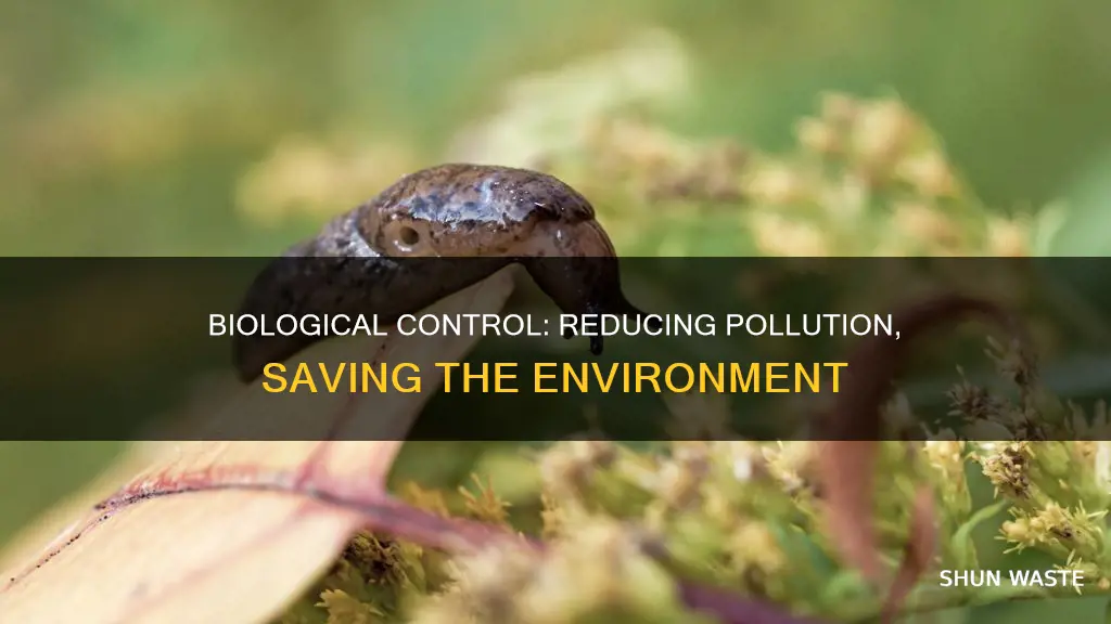 how can biological control reduce environmental pollution