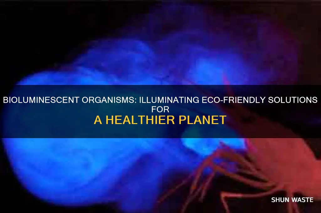 how can bioluminescent organisms help the environment