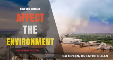 Biomass Impact: Environmental Benefits, Challenges, and Sustainable Solutions Explored