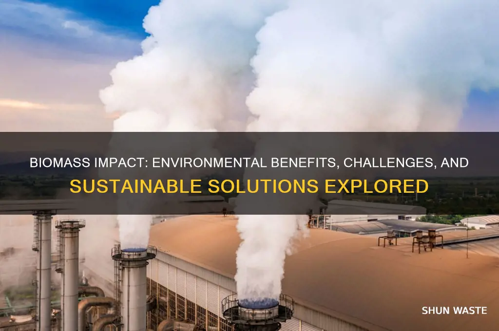 how can biomass affect the environment