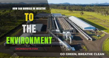 Biomass Energy's Dark Side: Environmental Impacts and Sustainability Concerns