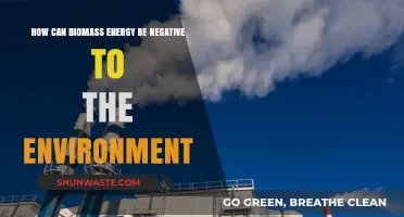 Biomass Energy's Dark Side: Environmental Impacts and Sustainability Concerns