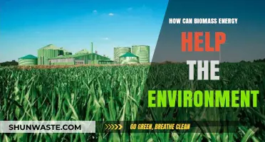 Biomass Energy: A Sustainable Solution for Environmental Conservation