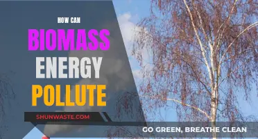 Biomass Energy: Can It Cause Pollution?