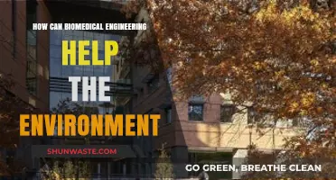 Biomedical Engineering Innovations: Sustainable Solutions for Environmental Conservation