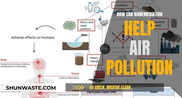 Bioremediation: Nature's Solution to Air Pollution