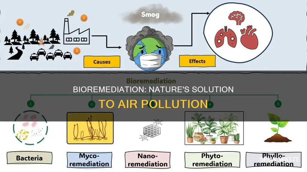 how can bioremediation help air pollution