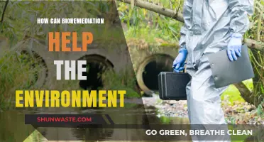 Bioremediation: Harnessing Nature’s Power to Heal Our Environment