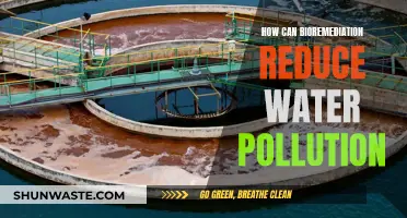 Bioremediation: Nature's Solution to Water Pollution