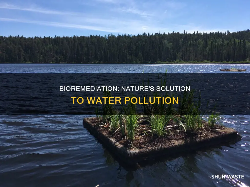 how can bioremediation reduce water pollution