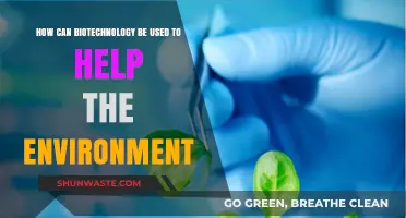 Biotechnology Innovations: Sustainable Solutions for Environmental Conservation and Restoration