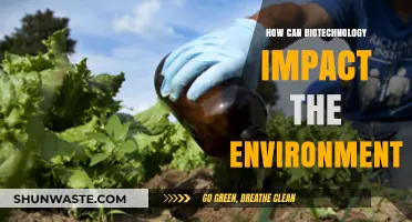 Biotechnology's Environmental Impact: Innovations, Challenges, and Sustainable Solutions