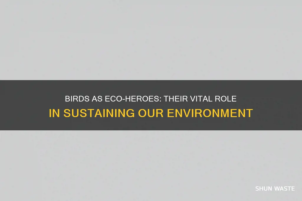 how can birds help the environment