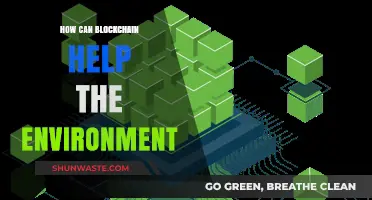 Blockchain for a Greener Future: Sustainable Solutions and Environmental Impact