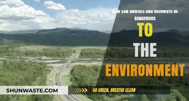 Bridges and Highways: Unseen Environmental Threats and Sustainable Solutions