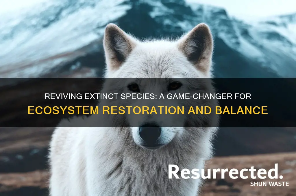 how can bringing back extinct animals help the environment