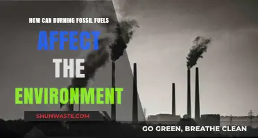 Burning Fossil Fuels: Environmental Impacts and Sustainable Alternatives