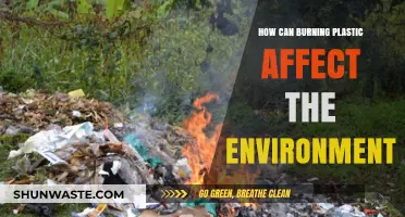 Burning Plastic: Unseen Environmental Hazards and Long-Term Consequences