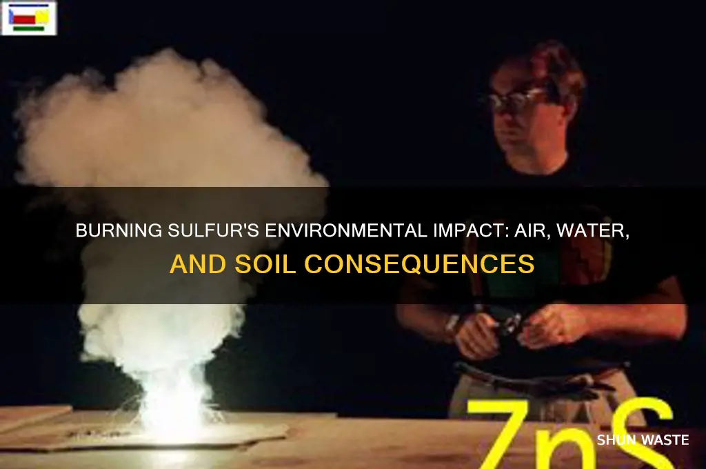 how can burning sulfur cause problems in the environment