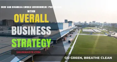 Embedding Environmental Stewardship: A Strategic Business Imperative for Sustainability