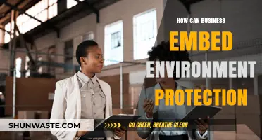 Sustainable Strategies: Embedding Environmental Protection in Business Operations