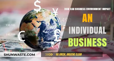 Navigating Success: How Business Environments Shape Individual Enterprises