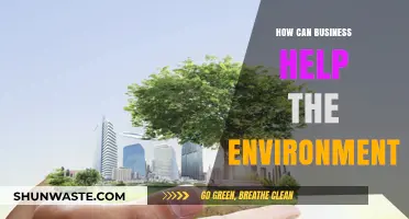 Sustainable Strategies: How Businesses Can Drive Environmental Change