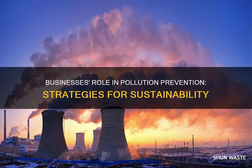 how can business prevent pollution