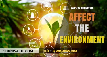Corporate Impact: How Businesses Shape Our Environment and Future