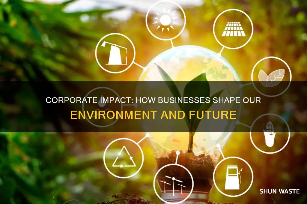 how can businesses affect the environment