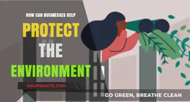 Sustainable Strategies: How Businesses Can Drive Environmental Protection