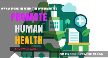 Sustainable Business Practices: Protecting the Environment and Promoting Human Health