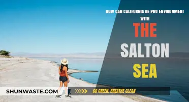 Reviving the Salton Sea: California's Path to Environmental Redemption