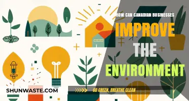 Sustainable Strategies: How Canadian Businesses Can Enhance Environmental Impact