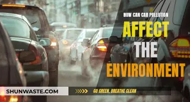 Car Pollution: Harming Our Environment and Health