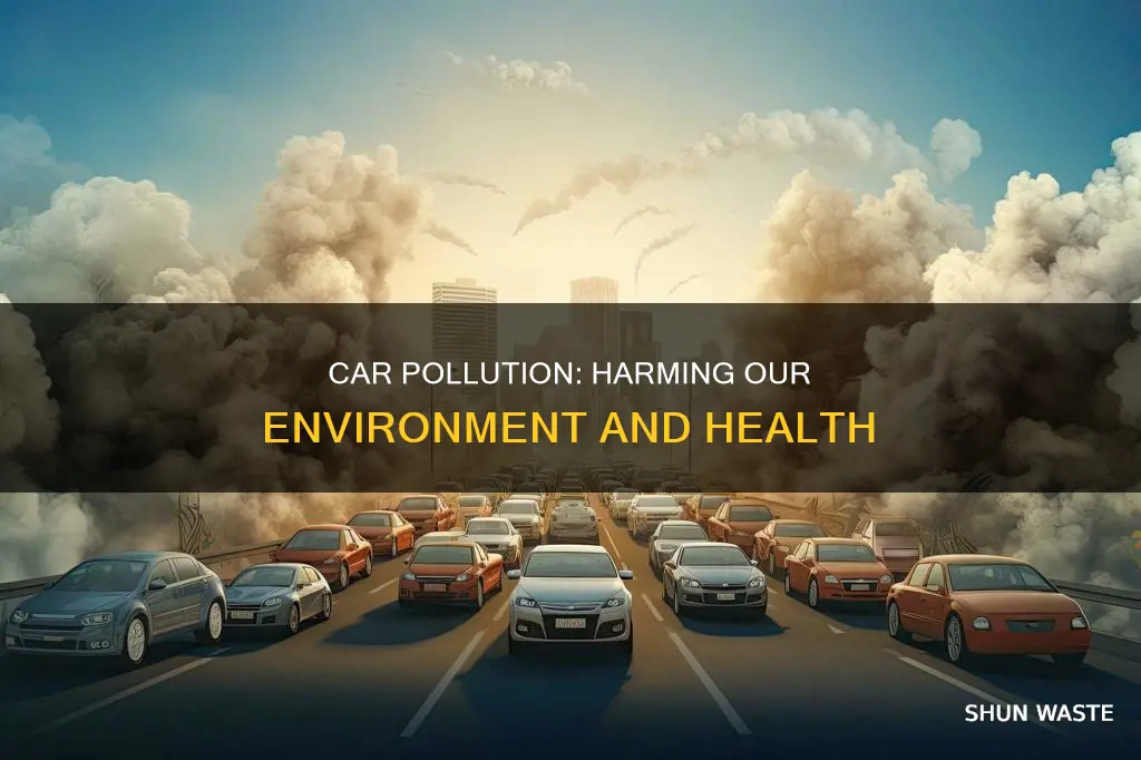 how can car pollution affect the environment