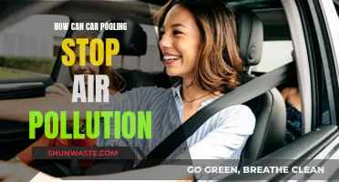 Car Pooling: A Green Solution to Stop Air Pollution