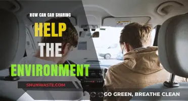 Car Sharing: A Green Solution for Sustainable Urban Mobility