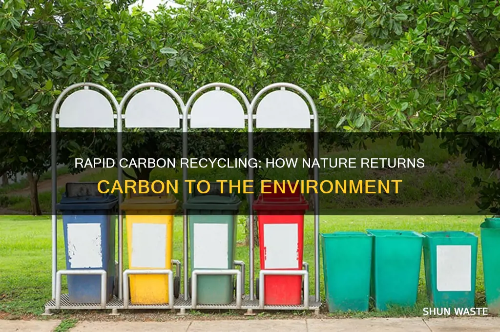 how can carbon cycle very quickly back into the environment