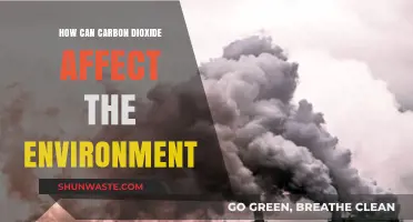 Carbon Dioxide's Impact: Environmental Consequences and Global Climate Change