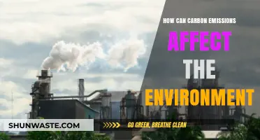 Carbon Emissions' Impact: Environmental Consequences and Urgent Solutions Explored