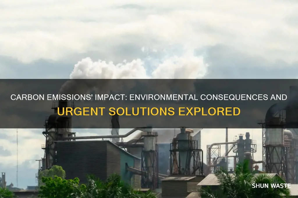 how can carbon emissions affect the environment