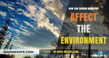 Carbon Monoxide's Environmental Impact: Air, Climate, and Ecosystem Consequences