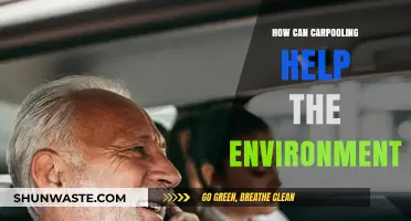 Carpooling's Green Impact: Reducing Emissions and Saving Resources