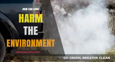 Car Emissions, Pollution, and Environmental Impact: Understanding the Harmful Effects
