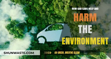 Cars' Dual Impact: Environmental Benefits and Ecological Consequences Explored