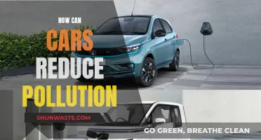 Cars: Reducing Pollution, Saving the Planet