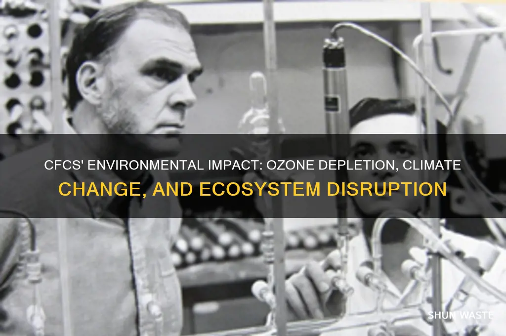 how can cfcs affect the environment