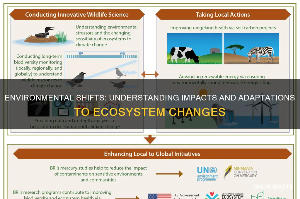 how can changes and disturbances in the environment